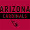 NFL Arizona Cardinals Red Performance Series Galaxy Z Flip6 Skin